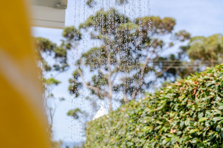 Rise in Mollymook Beach