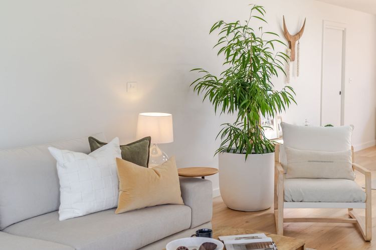 Rise in Mollymook Beach