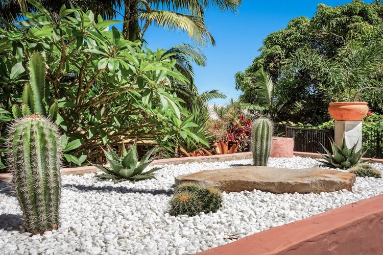 Le Dog Beach Club – chic home with pool