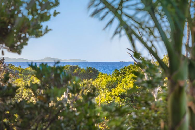 Byron Beachside Bliss – with pool & beach access