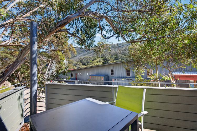 Squatters Run 8