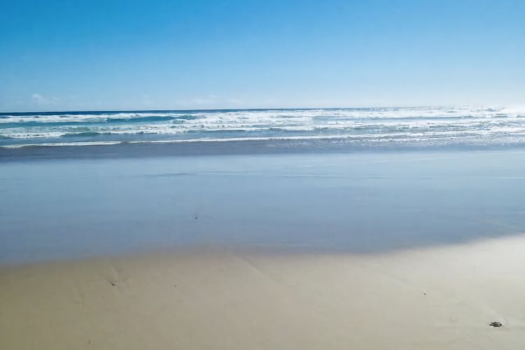 Wattle Seed Beach House