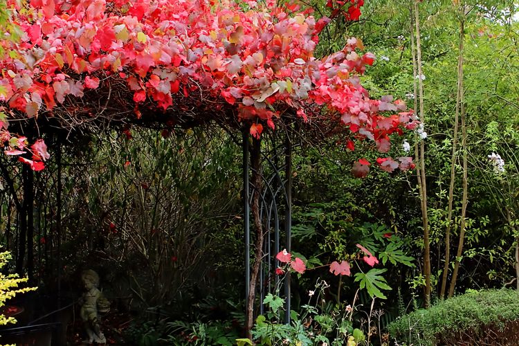 Borough Country House