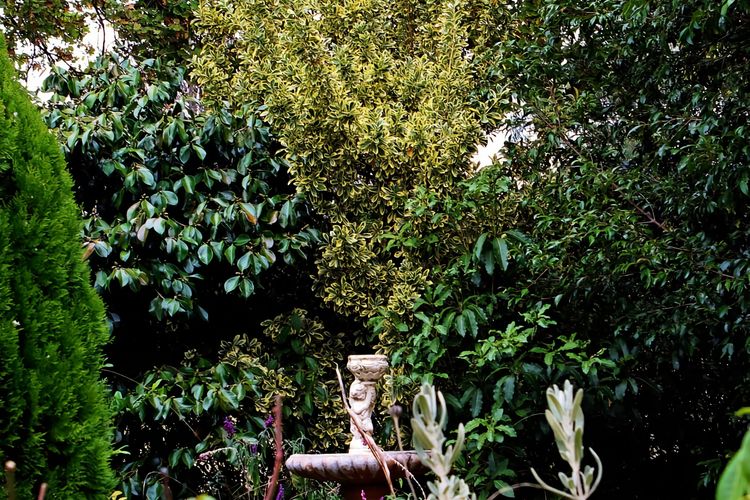 Borough Country House