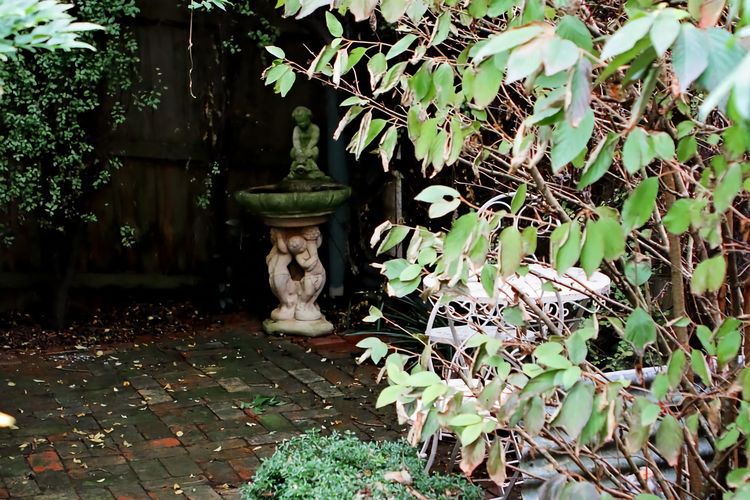 Borough Country House