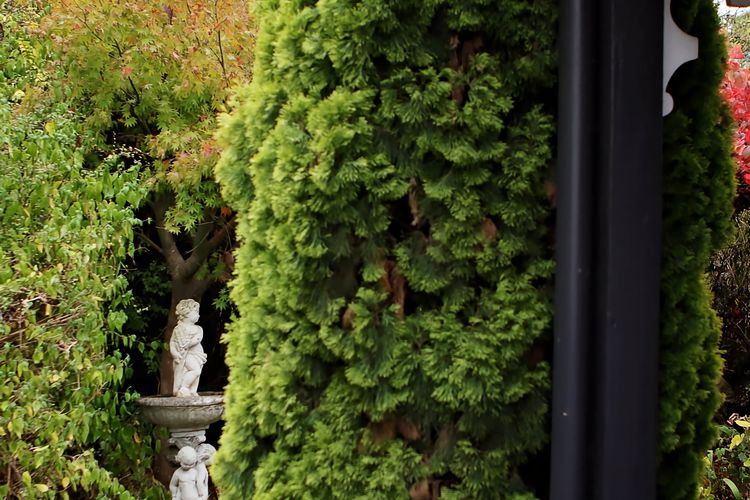 Borough Country House