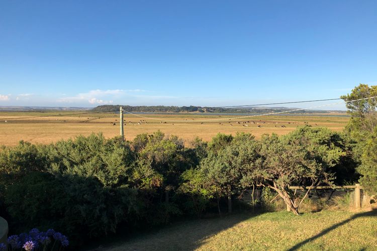 Kangaview