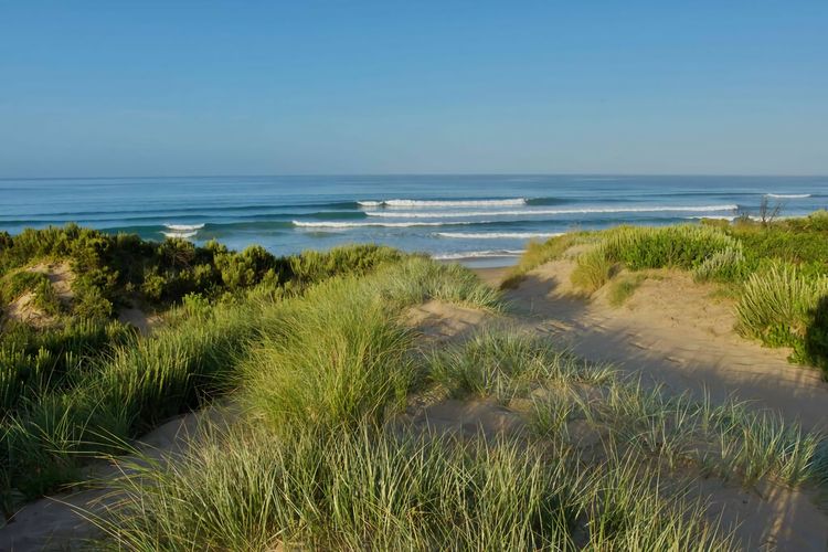 Manna Gum Beach House
