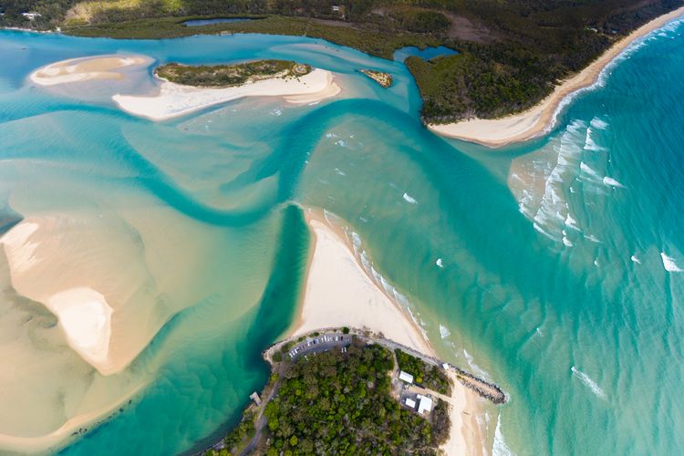 Jacaranda 12 Hastings Street 12