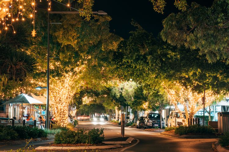 Jacaranda 12 Hastings Street 12