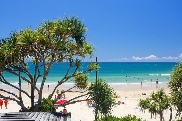 Portofino 4 Hastings Street 59