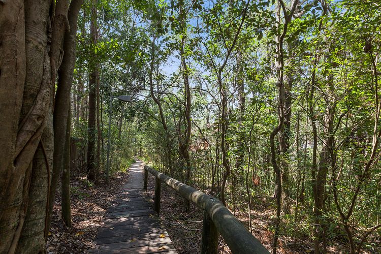 Apartment 1 Attunga Heights 4