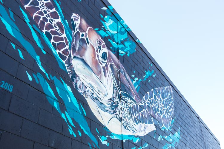 Apartment 1 Attunga Heights 4