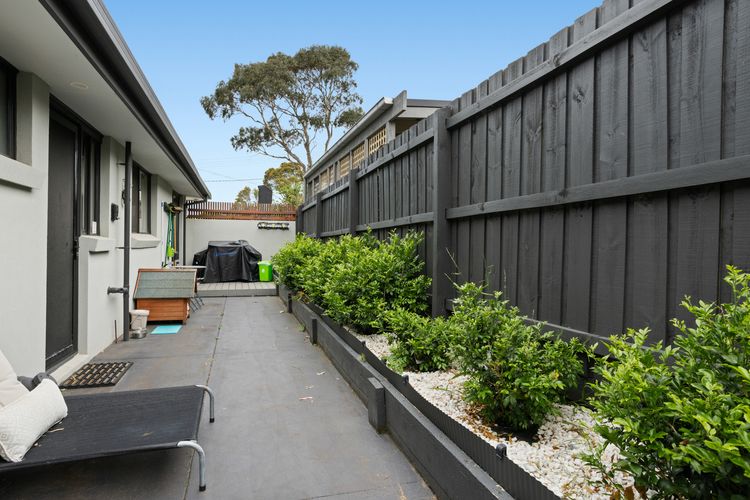 Ultimate Holiday Haven