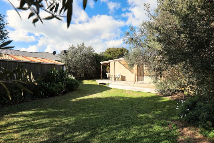 lushy green backyard