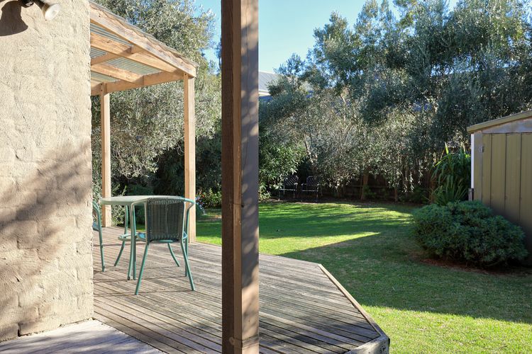 lushy green backyard