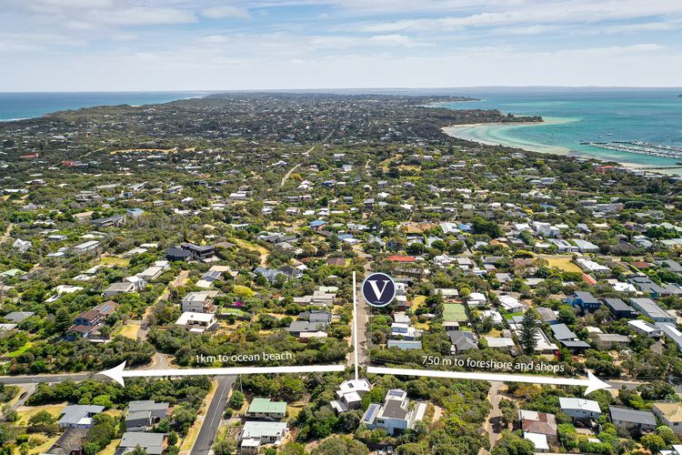 St Johns Wood Treehouse