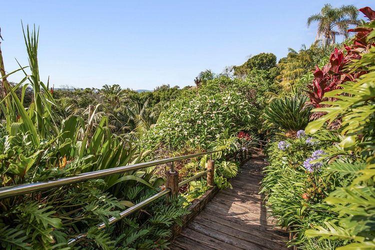 Solitary Views – Sapphire Beach