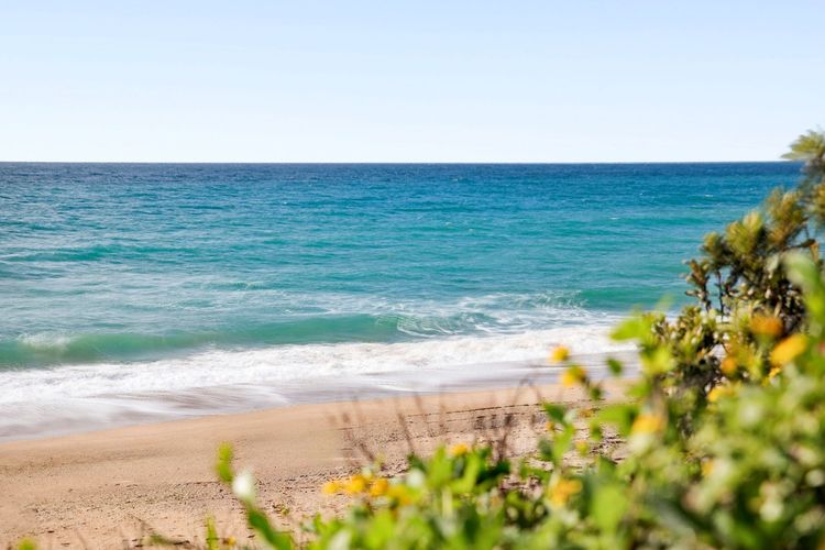 Solitary Views – Sapphire Beach