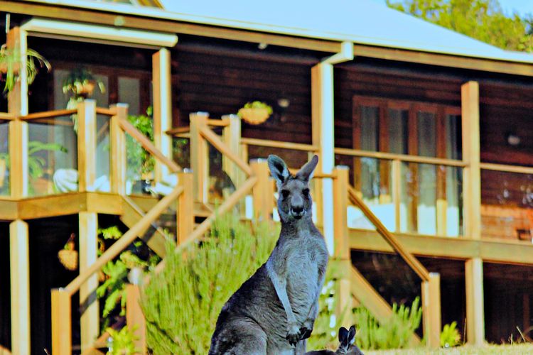 Tranquilo Beach House