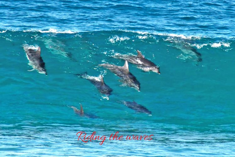 BEACH 100M CULBURRA BEACH