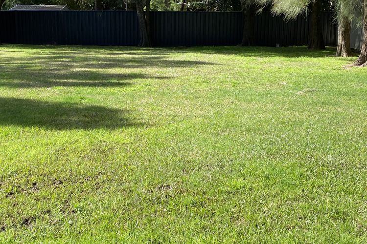 CURLEY S AT CULBURRA