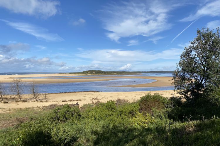 CURLEY S AT CULBURRA