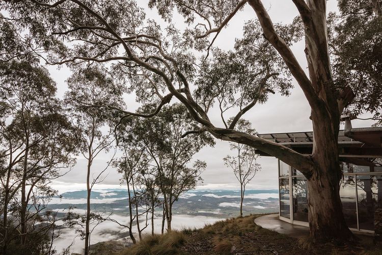 Woolooma Glass House