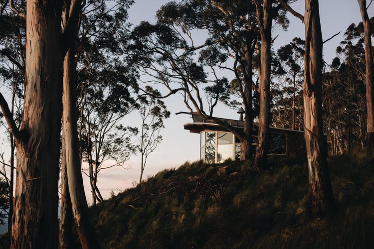 Woolooma Glass House