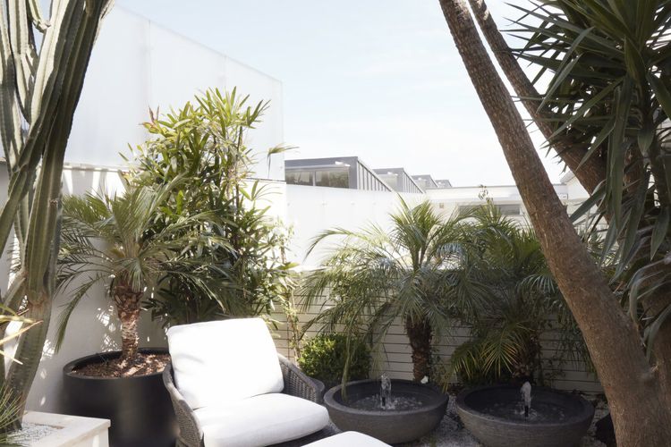 Tamarama House IBO Luxe