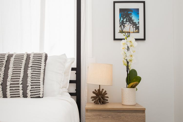 Coastal Allure Bondi IBO
