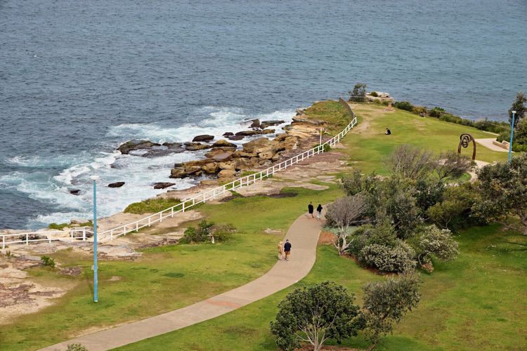 Coogee Surf View I90