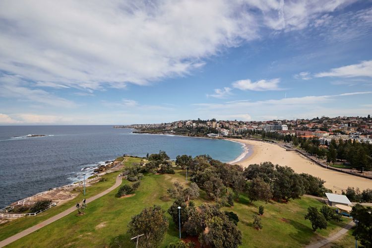 Coogee Surf View I90