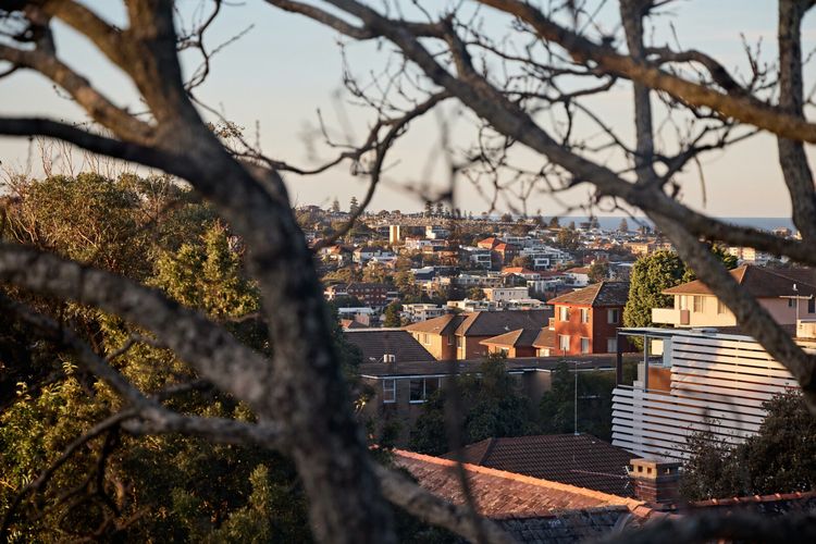 Coogee Treetops ISYD