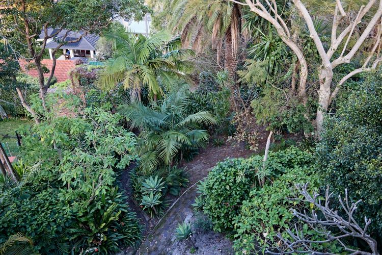 Coogee Treetops ISYD