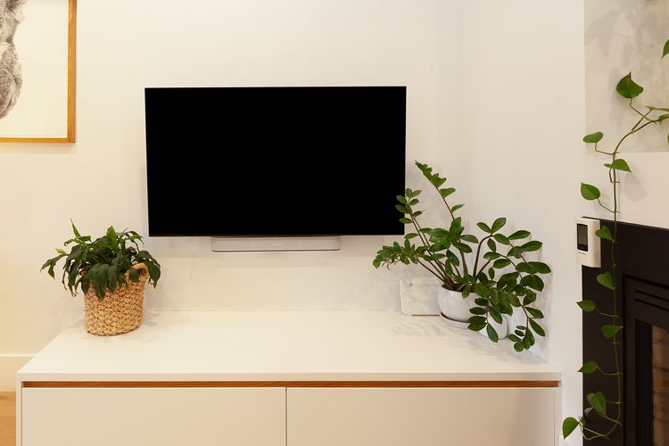TV