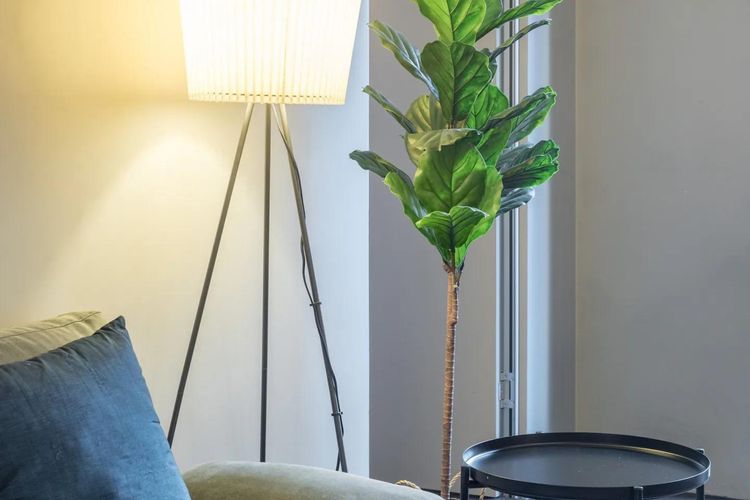 Enjoy a blend of comfort and style in this spacious apartment.