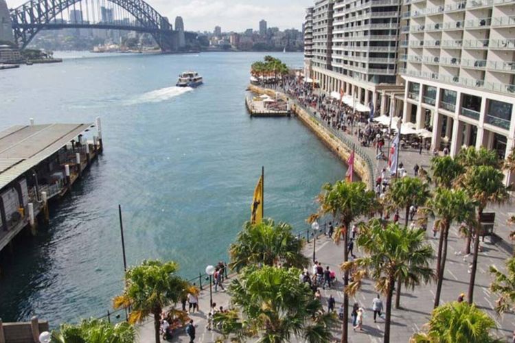 City Chic, Potts Point I90