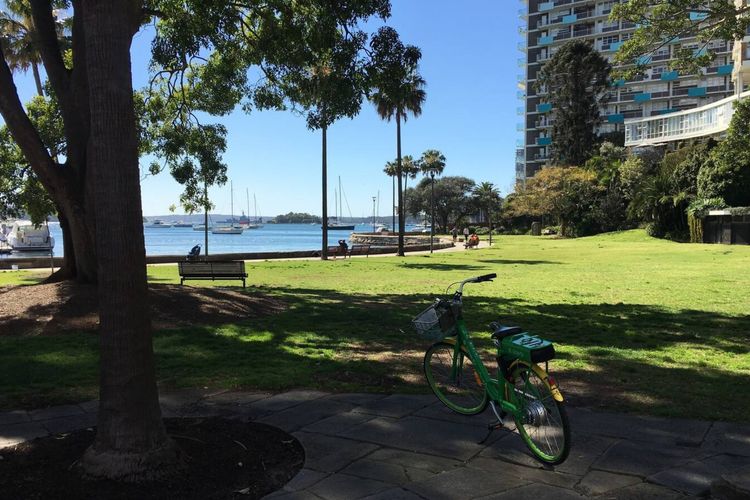 Discover the charm of Potts Point's vibrant community.