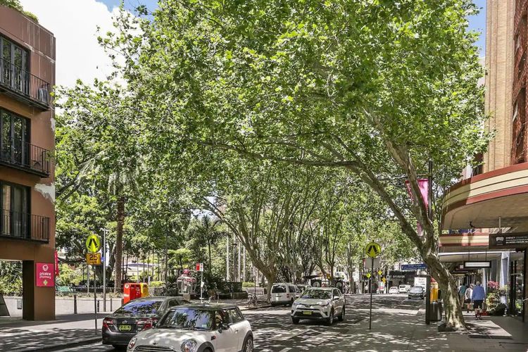 Gorgeous views of tree-lined streets and art deco architecture.