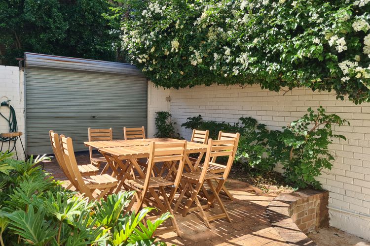 Paddington Bear ISYD