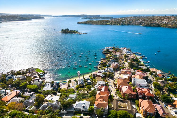 Dazzling Diamond, Point Piper ISYD