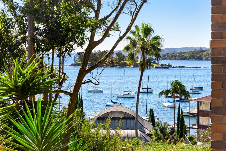 Dazzling Diamond, Point Piper ISYD