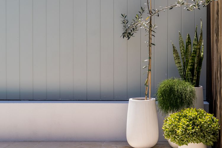 Heritage Hamptons, Clovelly IH