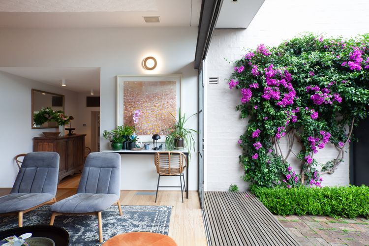 The Secret Garden City Oasis IH