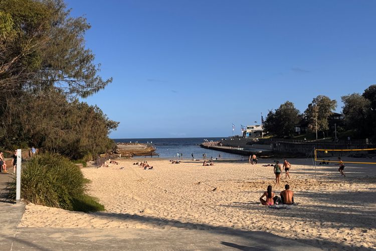 Clovelly Serendipity ISYD