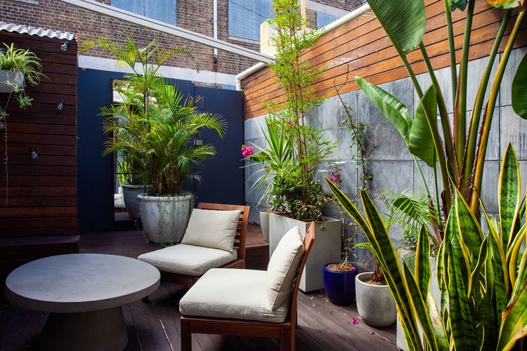 Urban Haven, Surry Hills ISYD