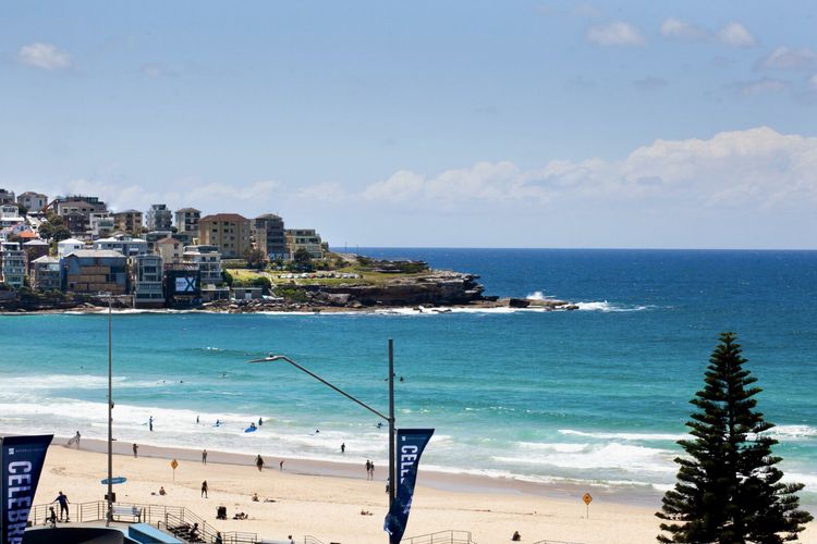 The Majestic Escape Bondi IBO