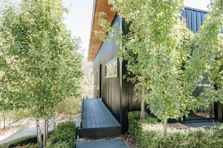 Tree Top Haven ITAS