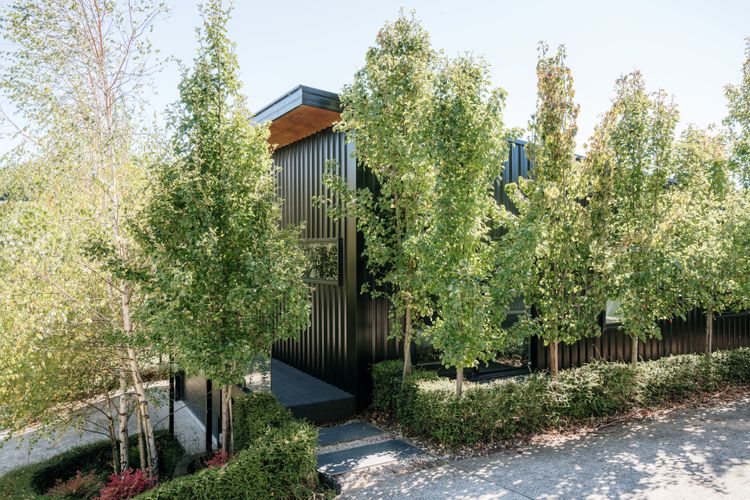 Tree Top Haven ITAS